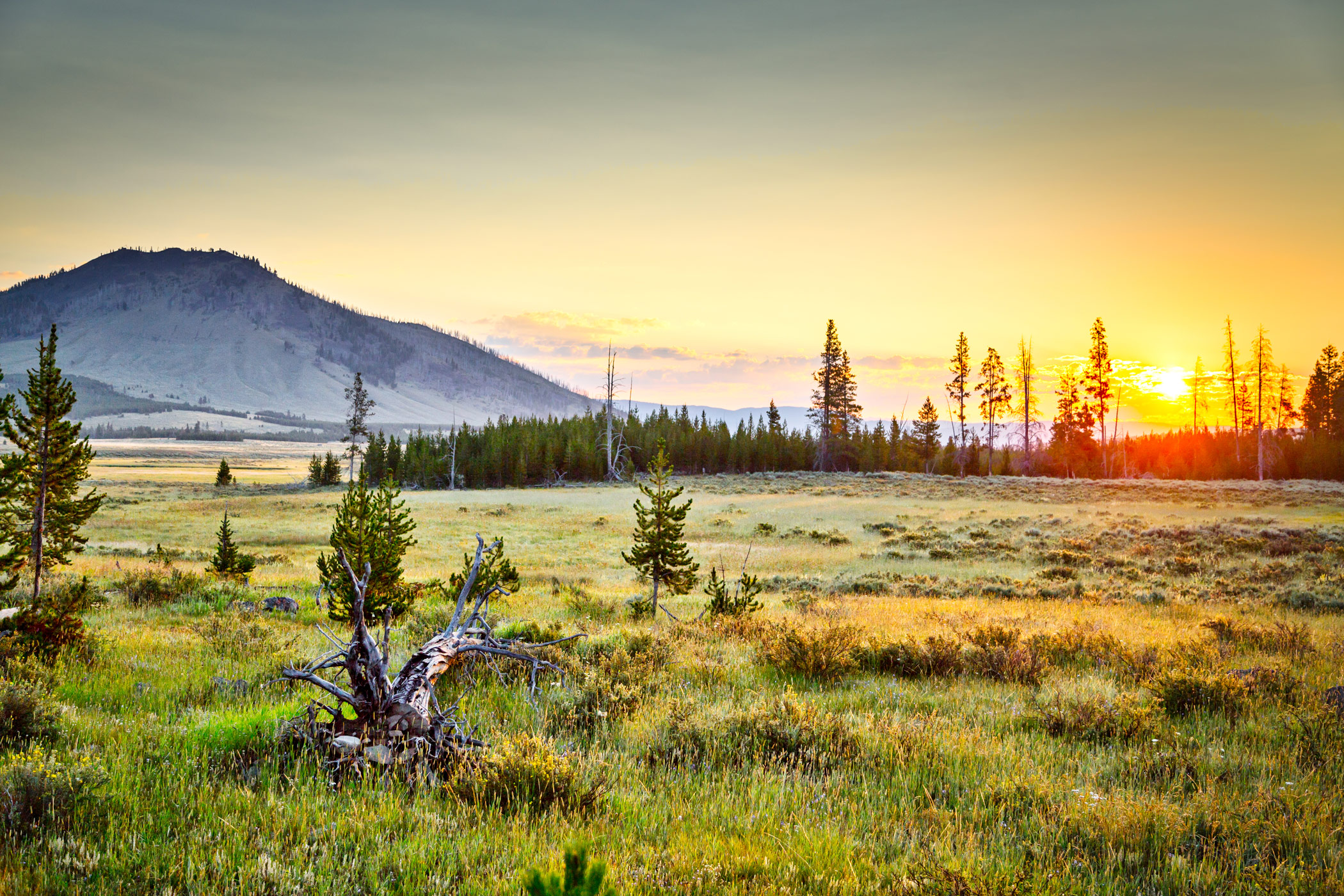 John Early Landscape Photographer